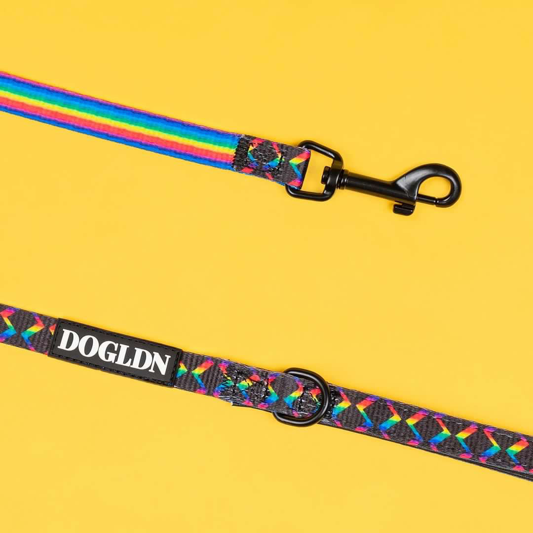 OG Prism Leash