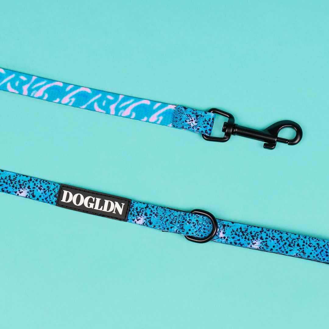 Liberty Leash