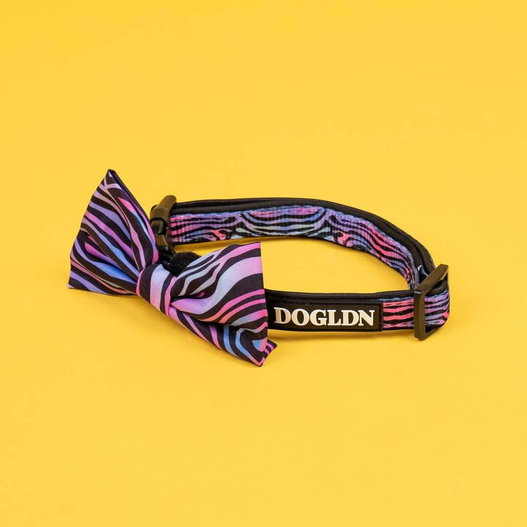 Shibori Tigris Collar & Bow