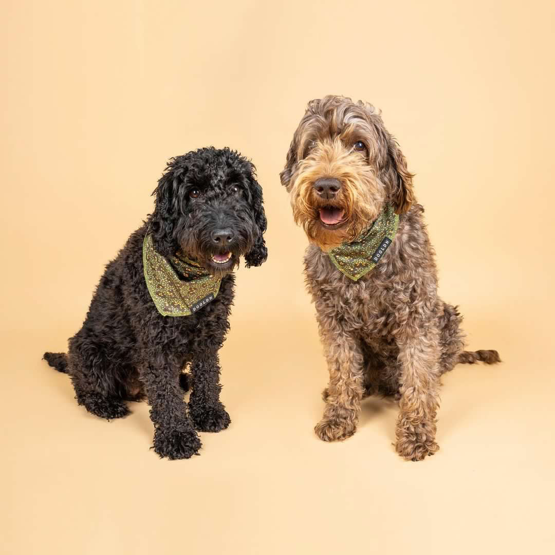 Cooling Bandana - Eunectes Murinus
