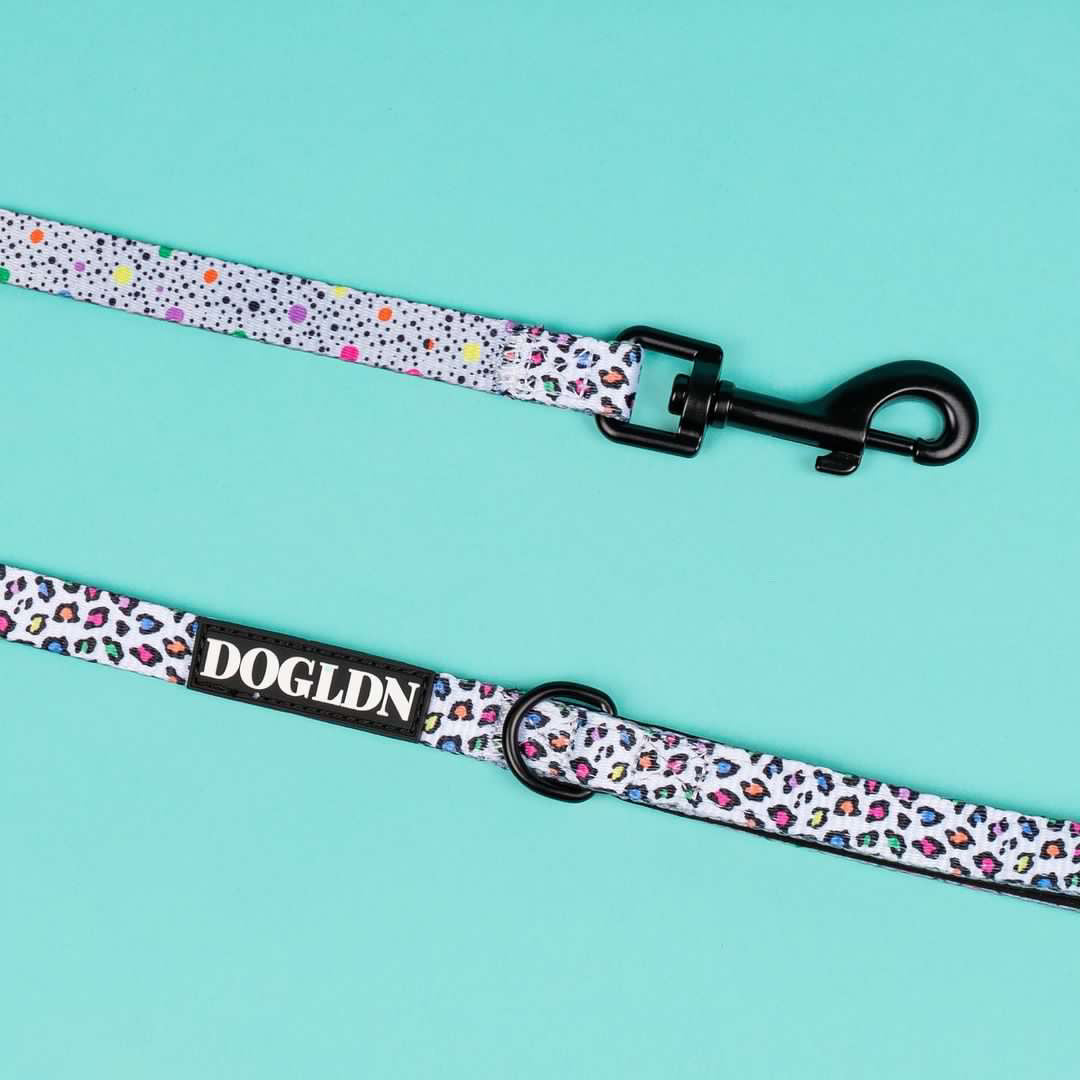 Panthera Uncia Leash