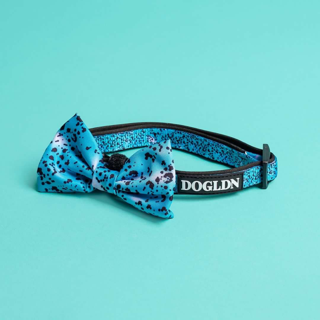 Liberty Collar & Bow