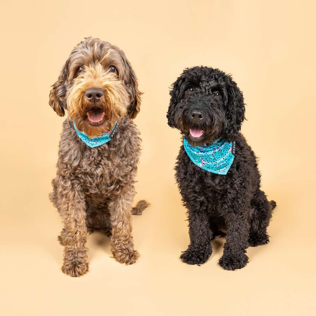 Cooling Bandana - Liberty