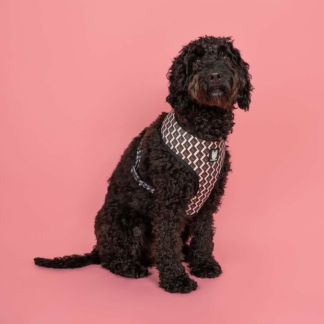 OG Adjustable Harness