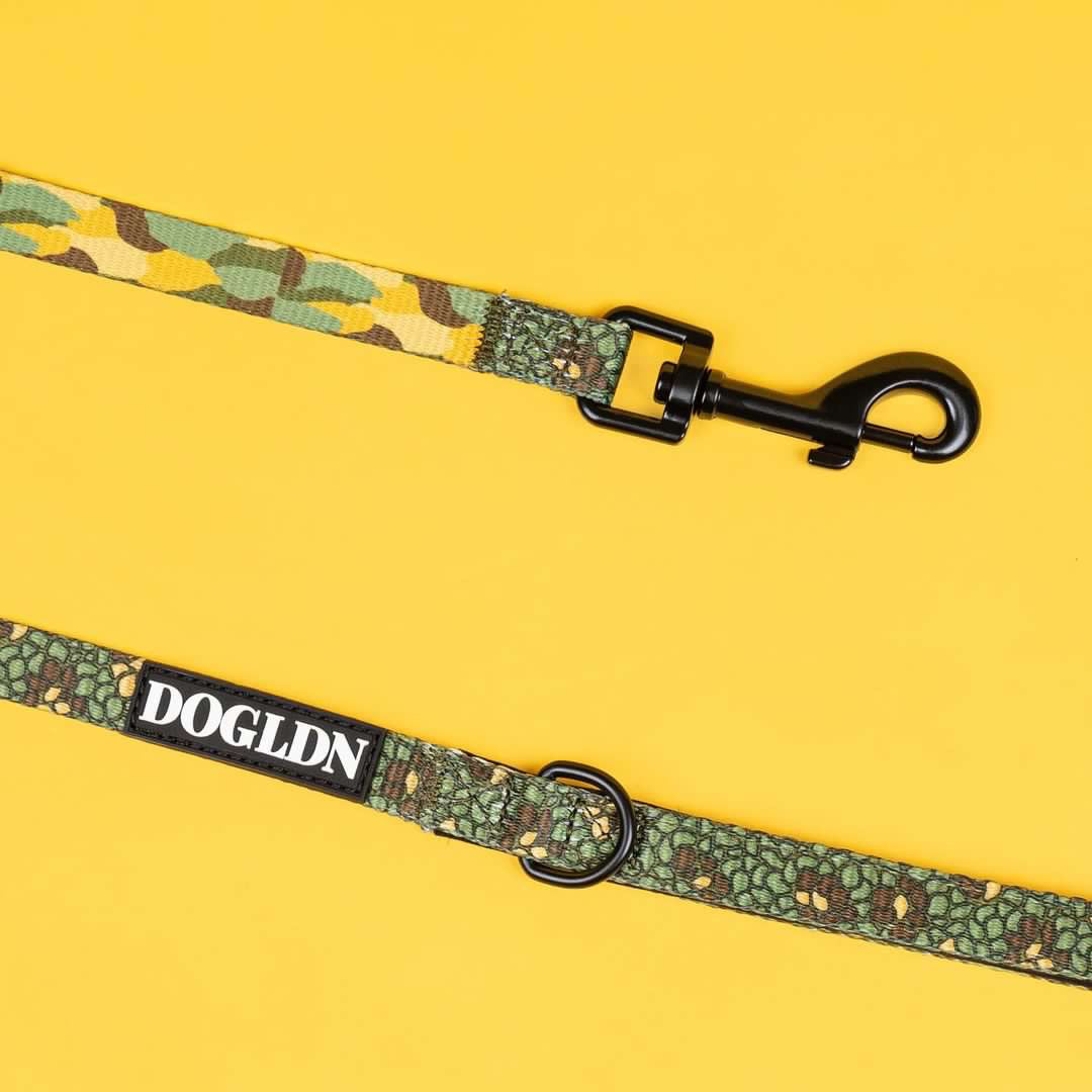 Eunectes Murinus Leash