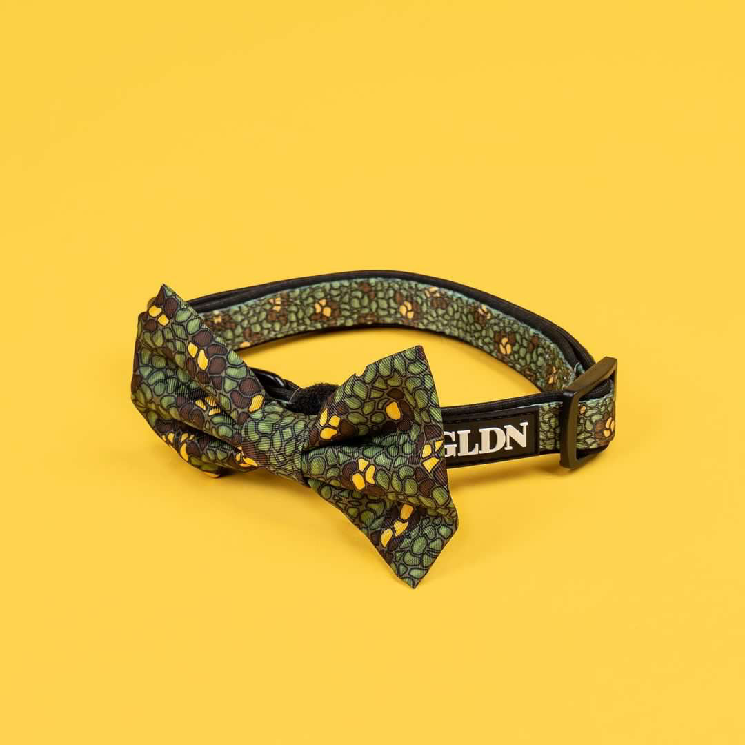 Eunectes Murinus Collar & Bow