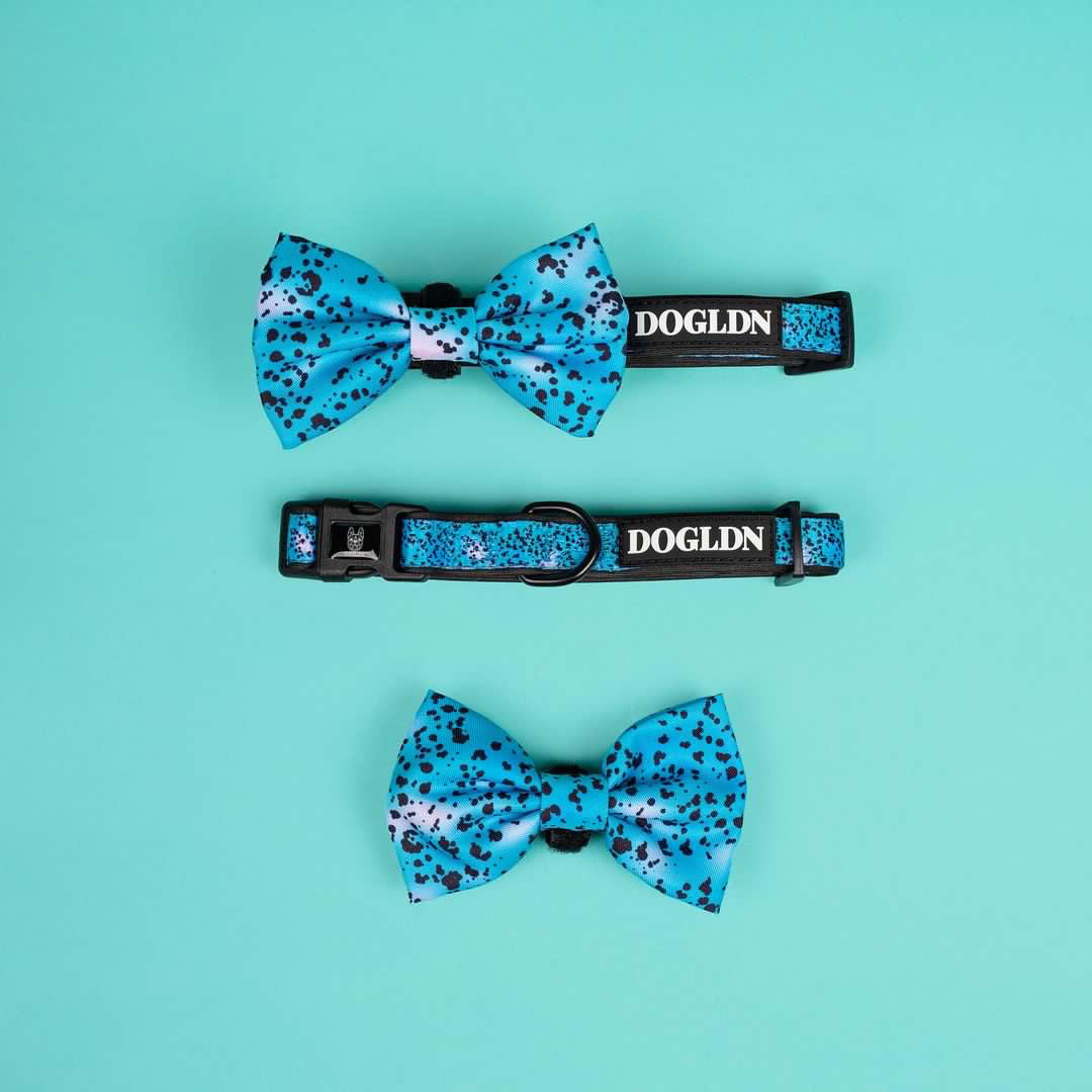 Liberty Collar & Bow