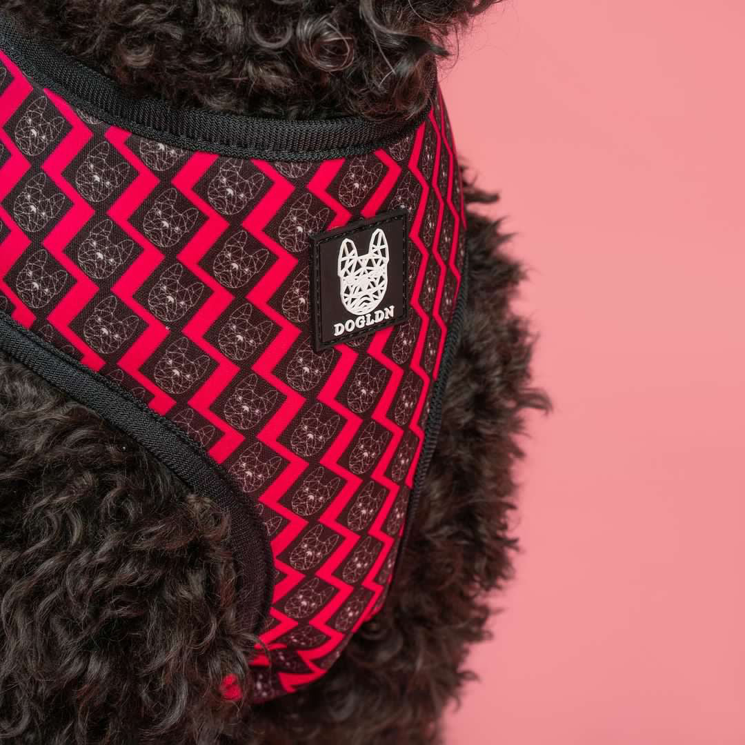 OG Bloom Reversible Dog Harness