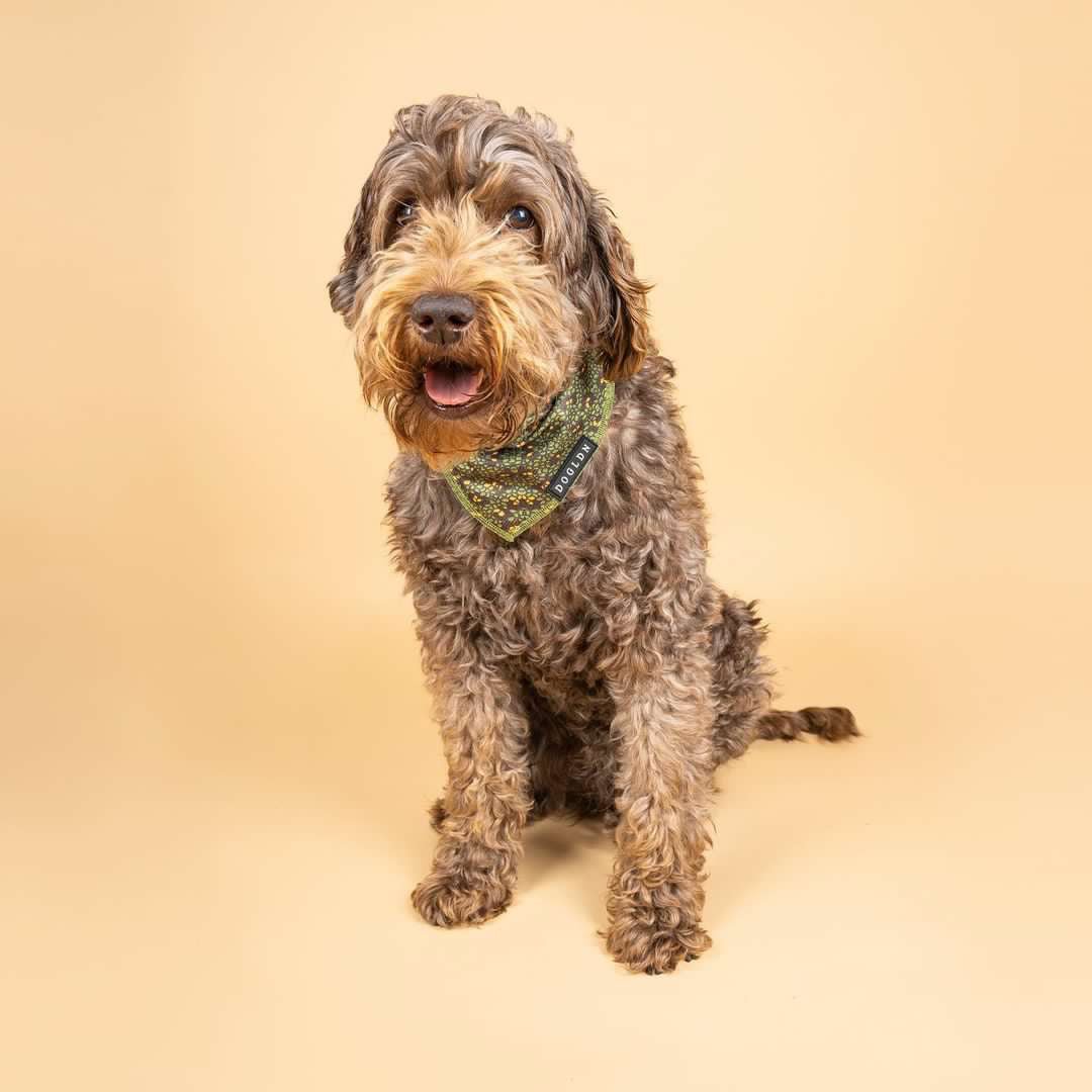 Cooling Bandana - Eunectes Murinus