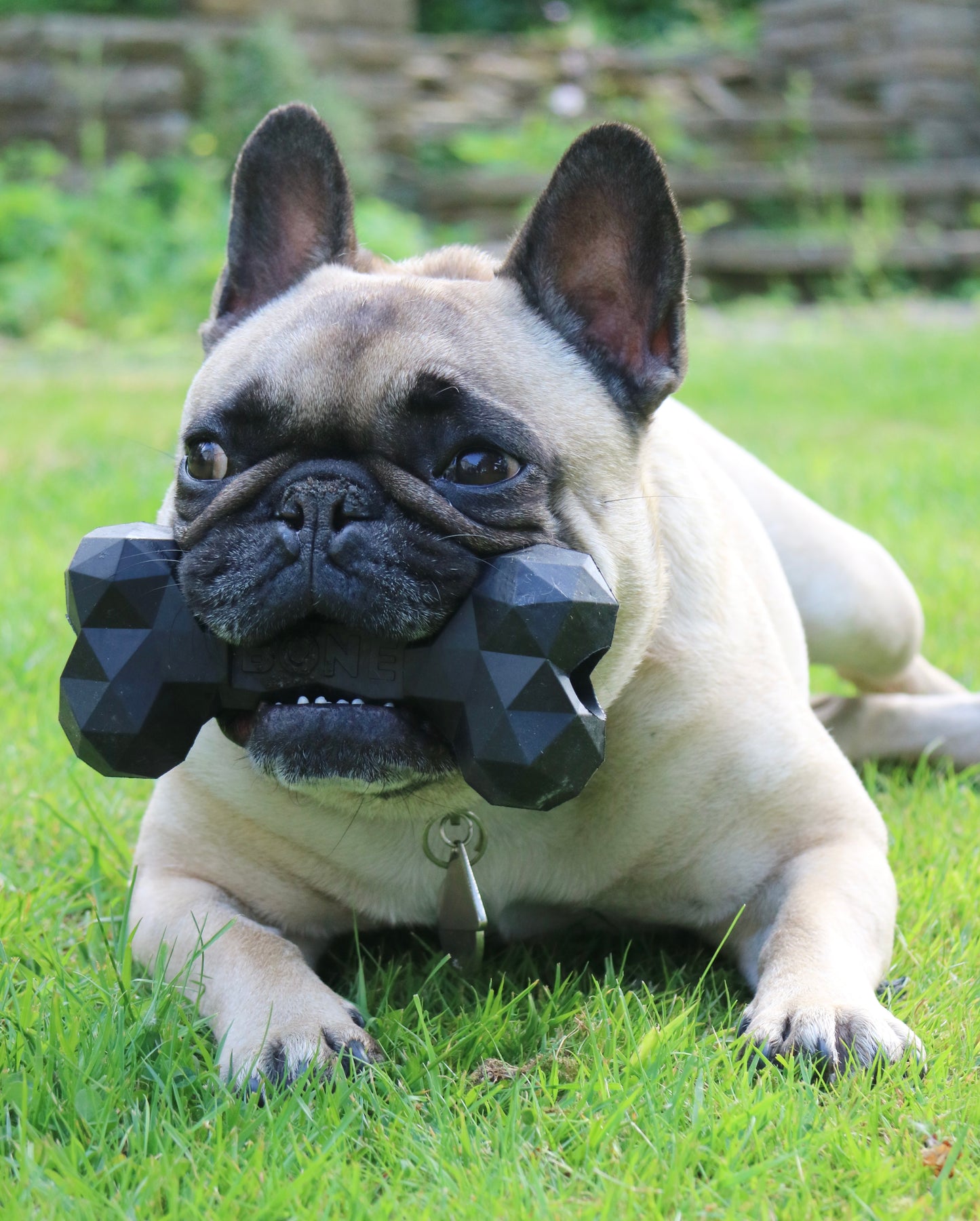 BAD2DABONE - Dog Bone Toy