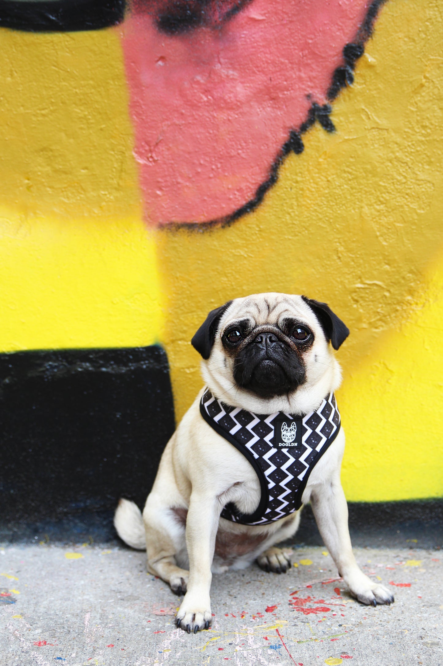 OG Reversible Harness