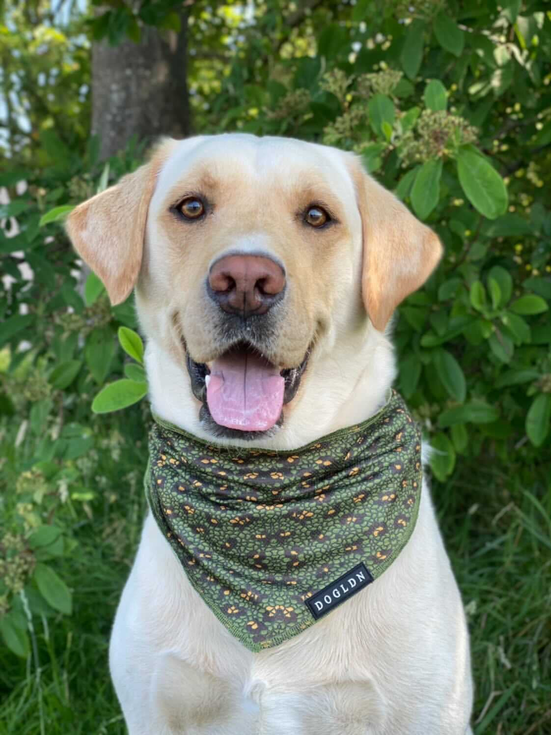 Cooling Bandana - Eunectes Murinus