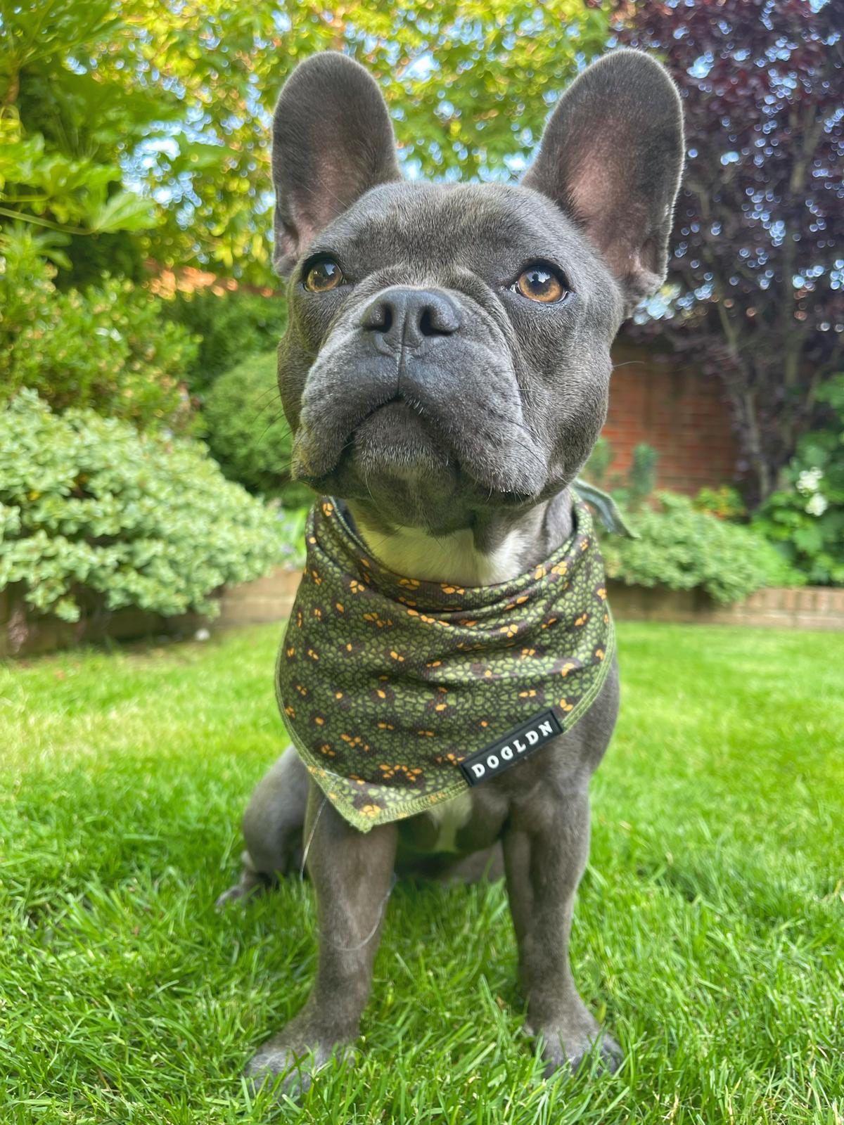 Cooling Bandana - Eunectes Murinus
