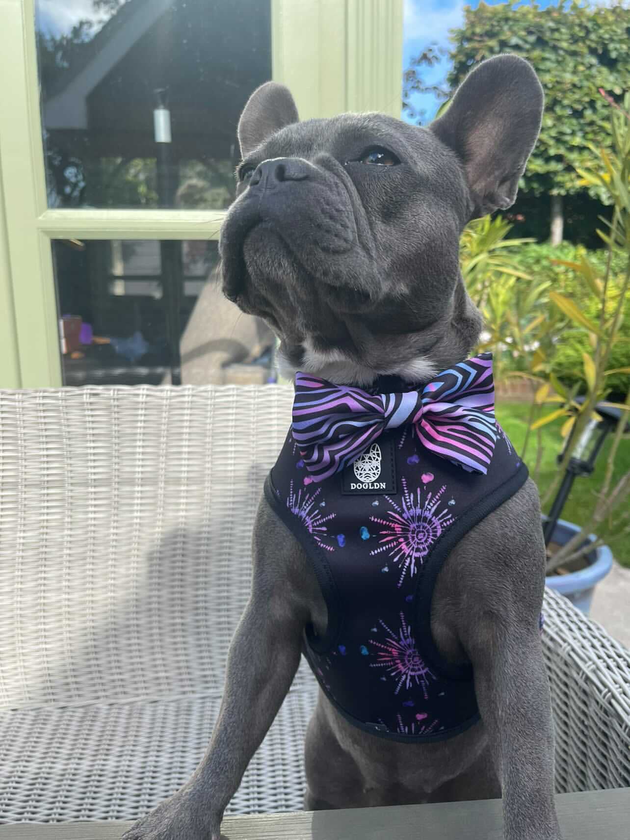 Shibori Tigris Reversible Dog Harness