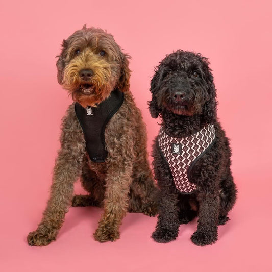 OG Reversible Harness