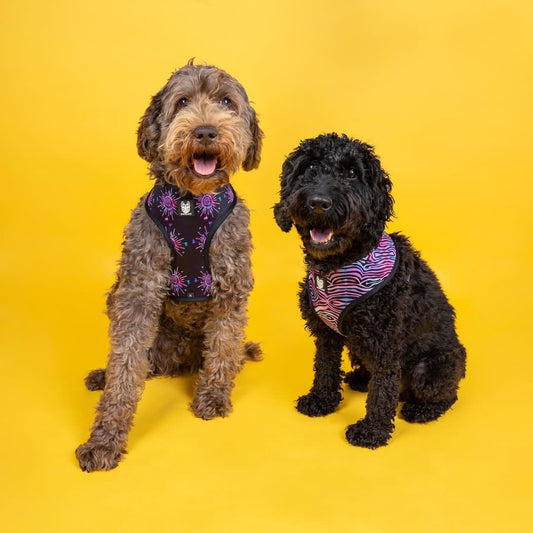 Shibori Tigris Reversible Dog Harness