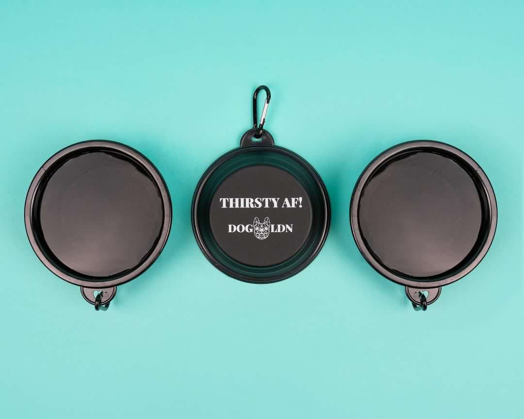 'THIRSTY AF' Collapsible Travel Bowl