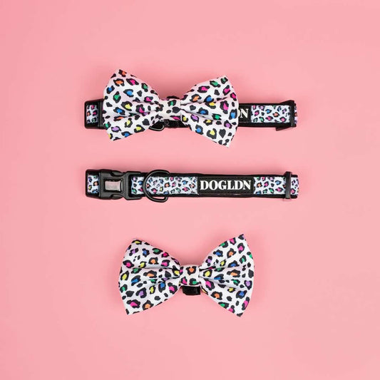 Panthera Uncia Collar & Bow