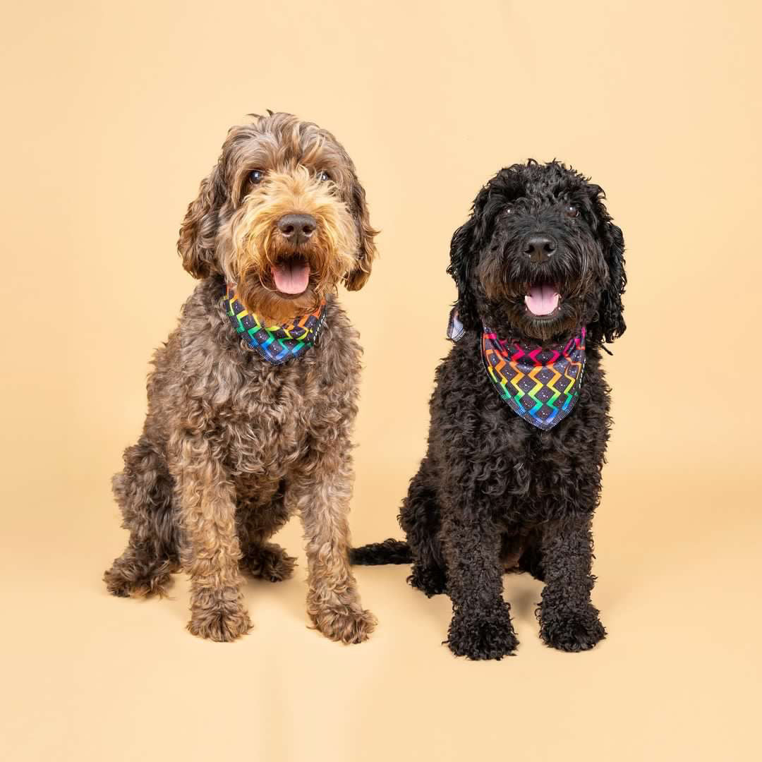 Cooling Bandana - OG Prism
