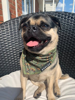 Load image into Gallery viewer, Cooling Bandana - Eunectes Murinus
