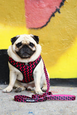 Load image into Gallery viewer, OG Bloom Reversible Dog Harness
