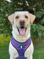 Load image into Gallery viewer, Shibori Tigris Adjustable Harness
