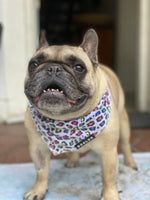 Load image into Gallery viewer, Cooling Bandana - Panthera Uncia
