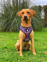 Load image into Gallery viewer, Shibori Tigris Adjustable Harness
