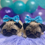 Load image into Gallery viewer, Liberty Collar &amp; Bow
