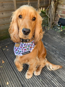 Cooling Bandana - Panthera Uncia