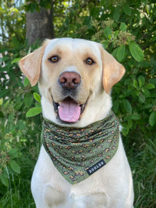 Cooling Bandana - Eunectes Murinus