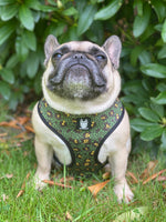 Load image into Gallery viewer, Eunectes Murinus Reversible Dog Harness
