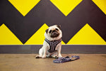 Load image into Gallery viewer, OG Leash
