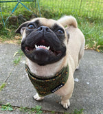 Load image into Gallery viewer, Cooling Bandana - Eunectes Murinus
