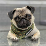Load image into Gallery viewer, Cooling Bandana - Eunectes Murinus
