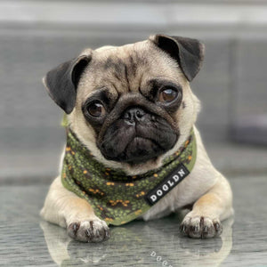 Cooling Bandana - Eunectes Murinus