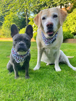 Load image into Gallery viewer, Cooling Bandana - Panthera Uncia
