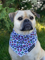 Load image into Gallery viewer, Cooling Bandana - Panthera Uncia
