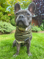 Load image into Gallery viewer, Cooling Bandana - Eunectes Murinus
