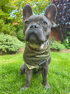 Cooling Bandana - Eunectes Murinus