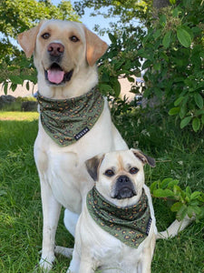 Cooling Bandana - Eunectes Murinus