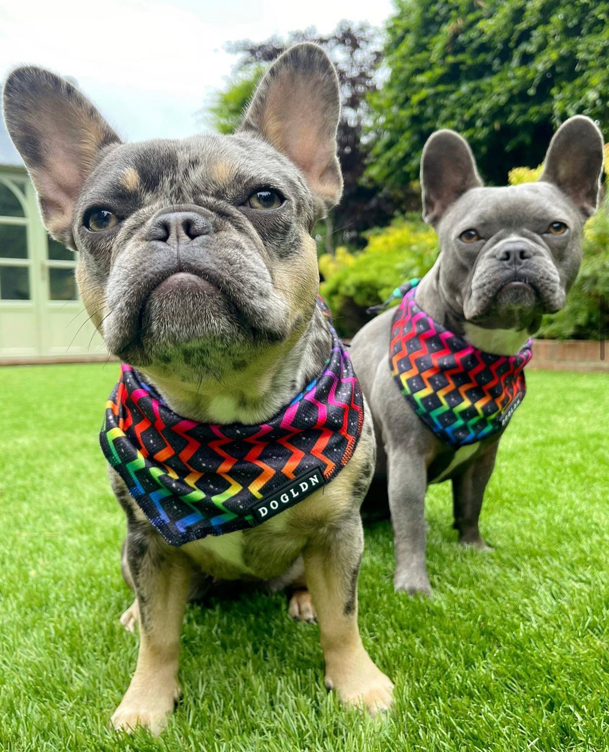 Cooling Bandana - OG Prism