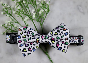 Panthera Uncia Collar & Bow