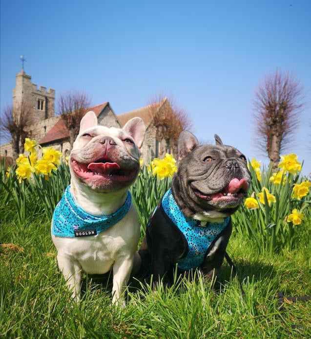 Cooling Bandana - Liberty