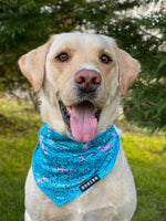 Load image into Gallery viewer, Cooling Bandana - Liberty
