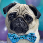 Load image into Gallery viewer, Liberty Collar &amp; Bow
