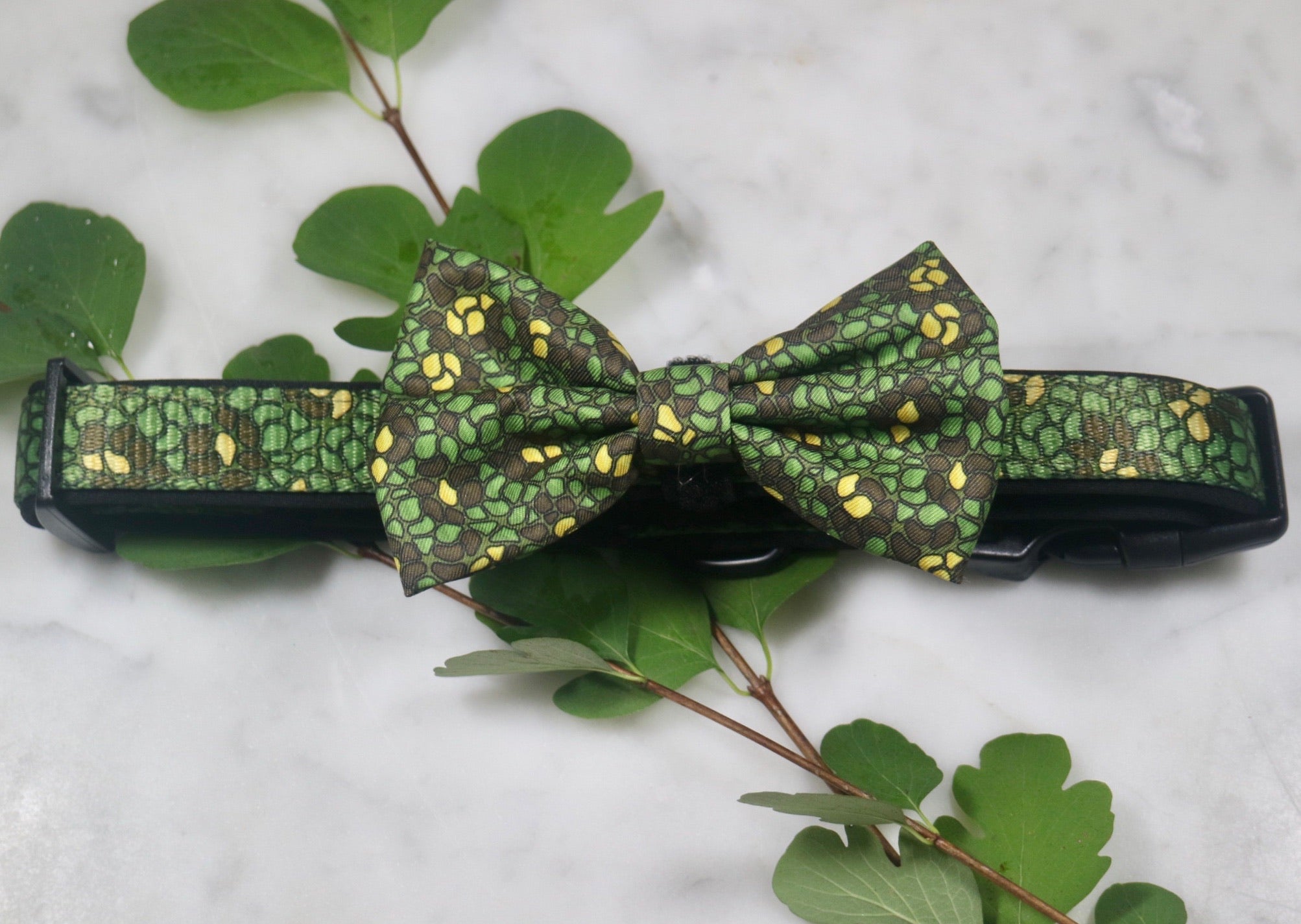 Eunectes Murinus Collar & Bow