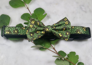 Eunectes Murinus Collar & Bow