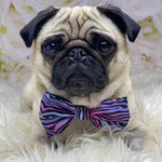 Load image into Gallery viewer, Shibori Tigris Collar &amp; Bow

