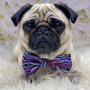 Shibori Tigris Collar & Bow